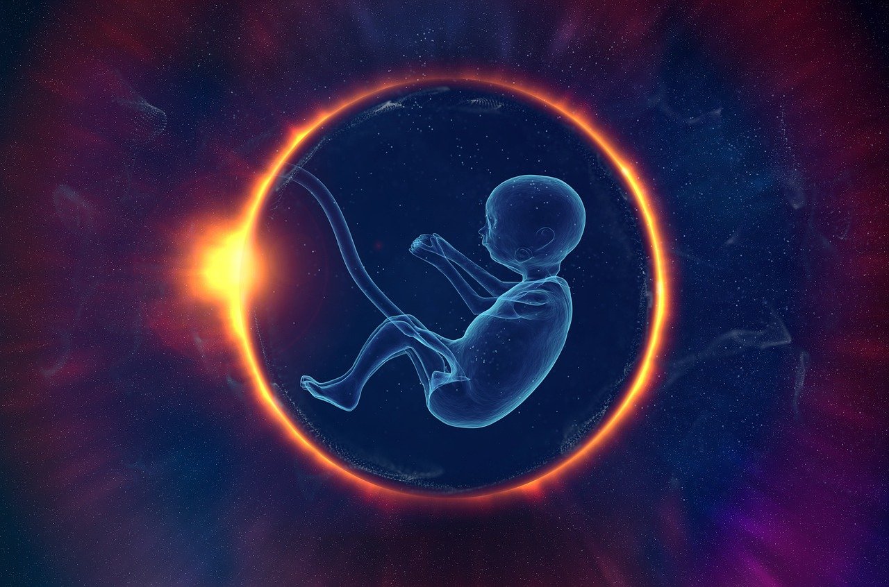 Върховният съд на Алабама постанови, че замразените ембриони ще се