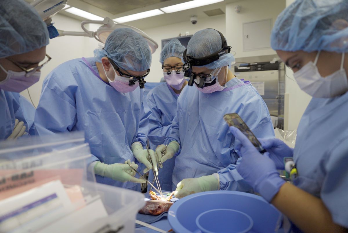 Лекари от Бостън обявиха в четвъртък, че са трансплантирали генетично