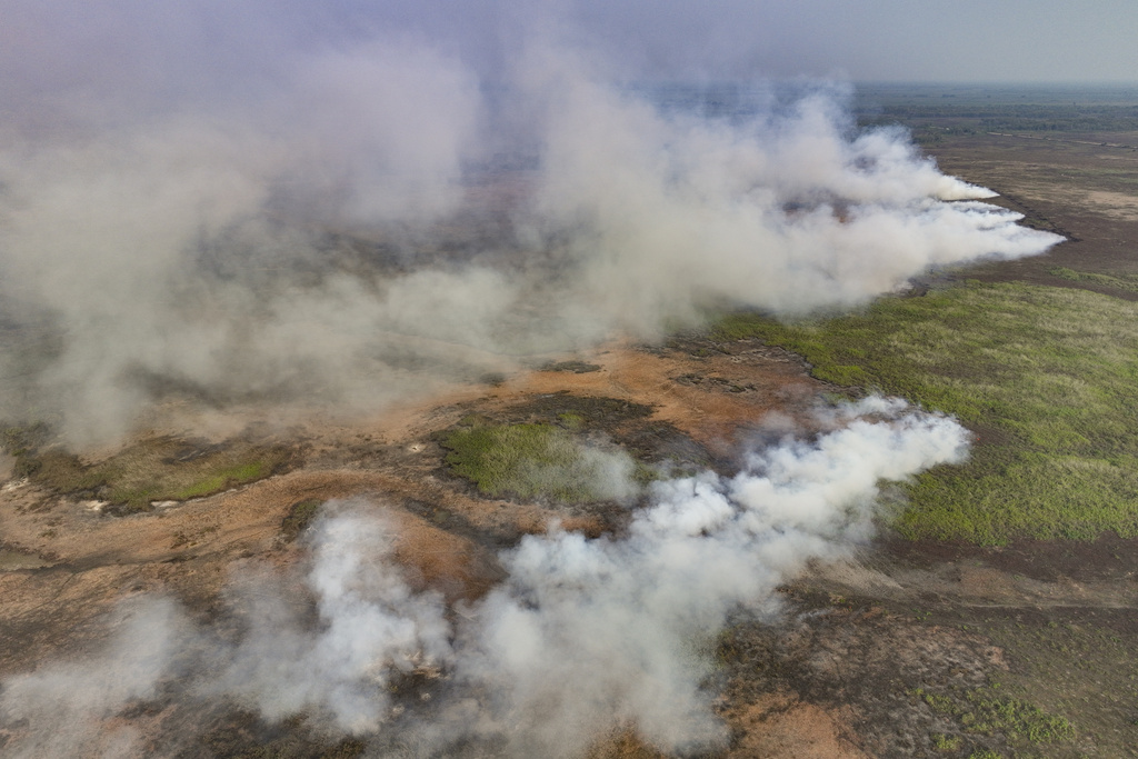 Бушуващите пожари в Бразилия застрашават флората и фауната в страната.