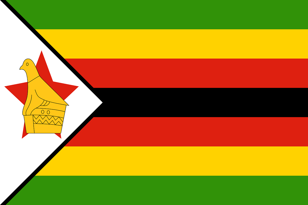 Основната опозиционна партия в Зимбабве поиска провеждането на нови избори