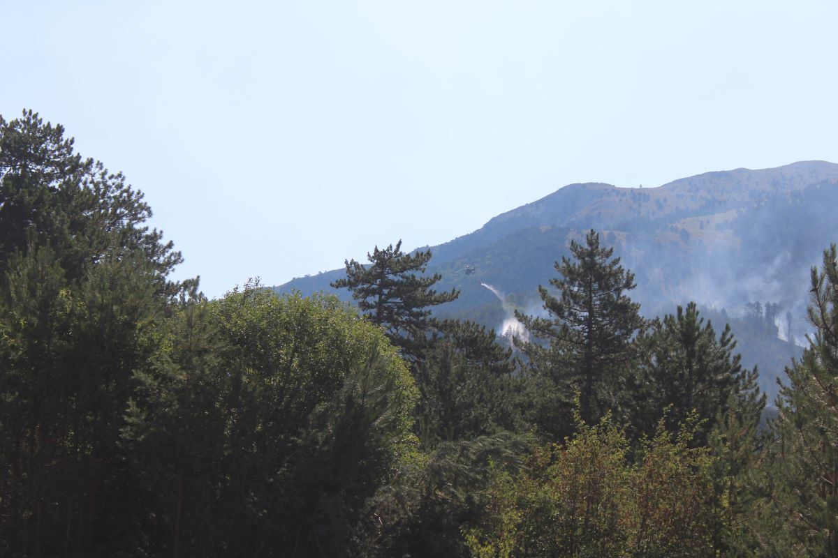 Pojar Planina Slavianka BGNES