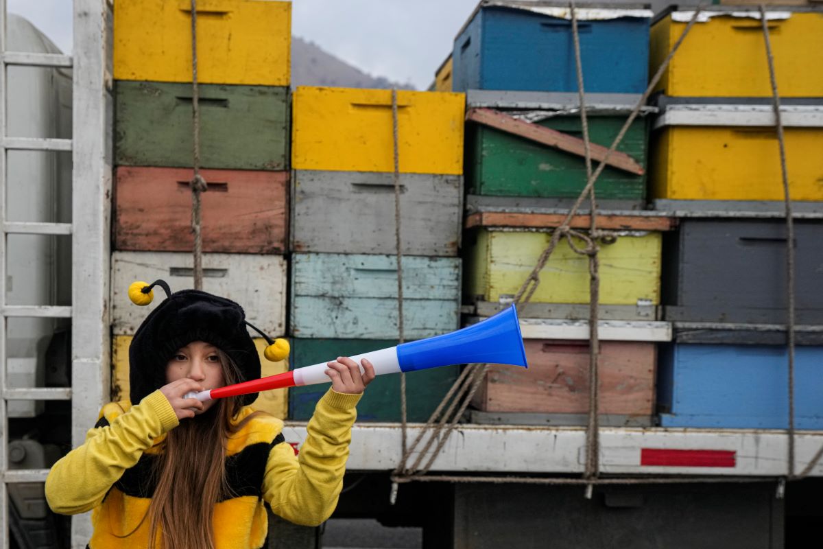 Унгарските пчелари са разочаровани, че правителството неочаквано е отменило забраната