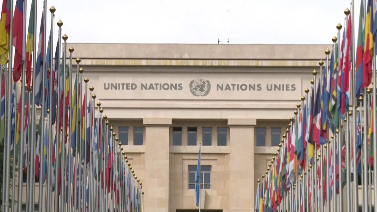 OON United Nations UN AP