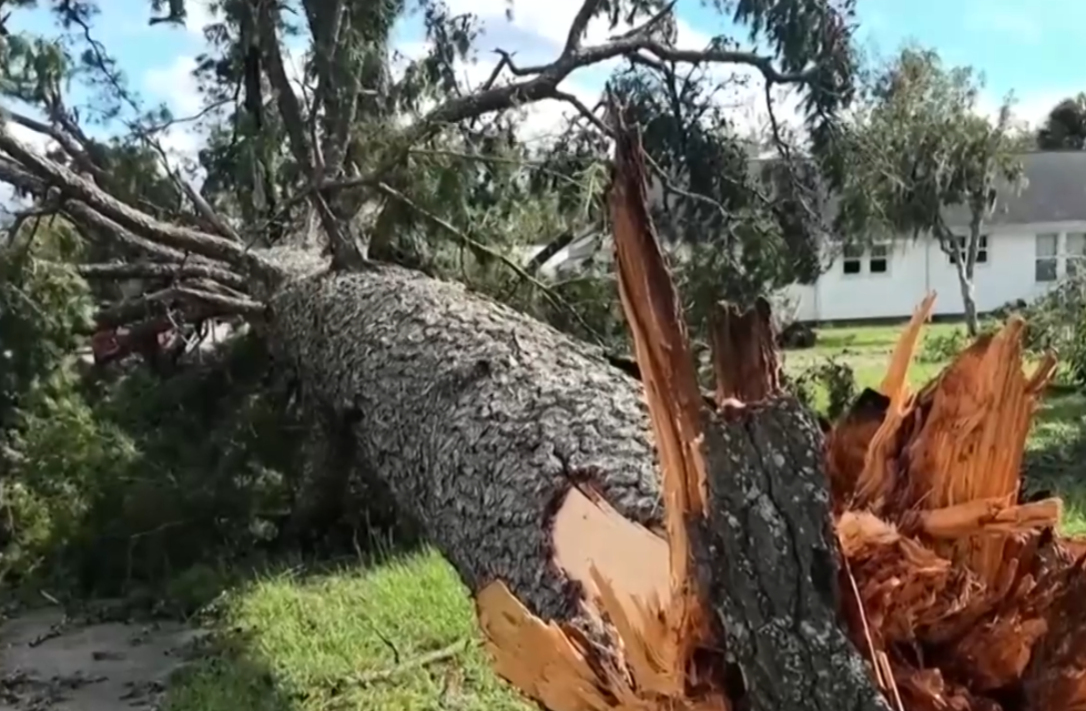 Ураганът Идалия“ премина през части от щата Флорида с пориви