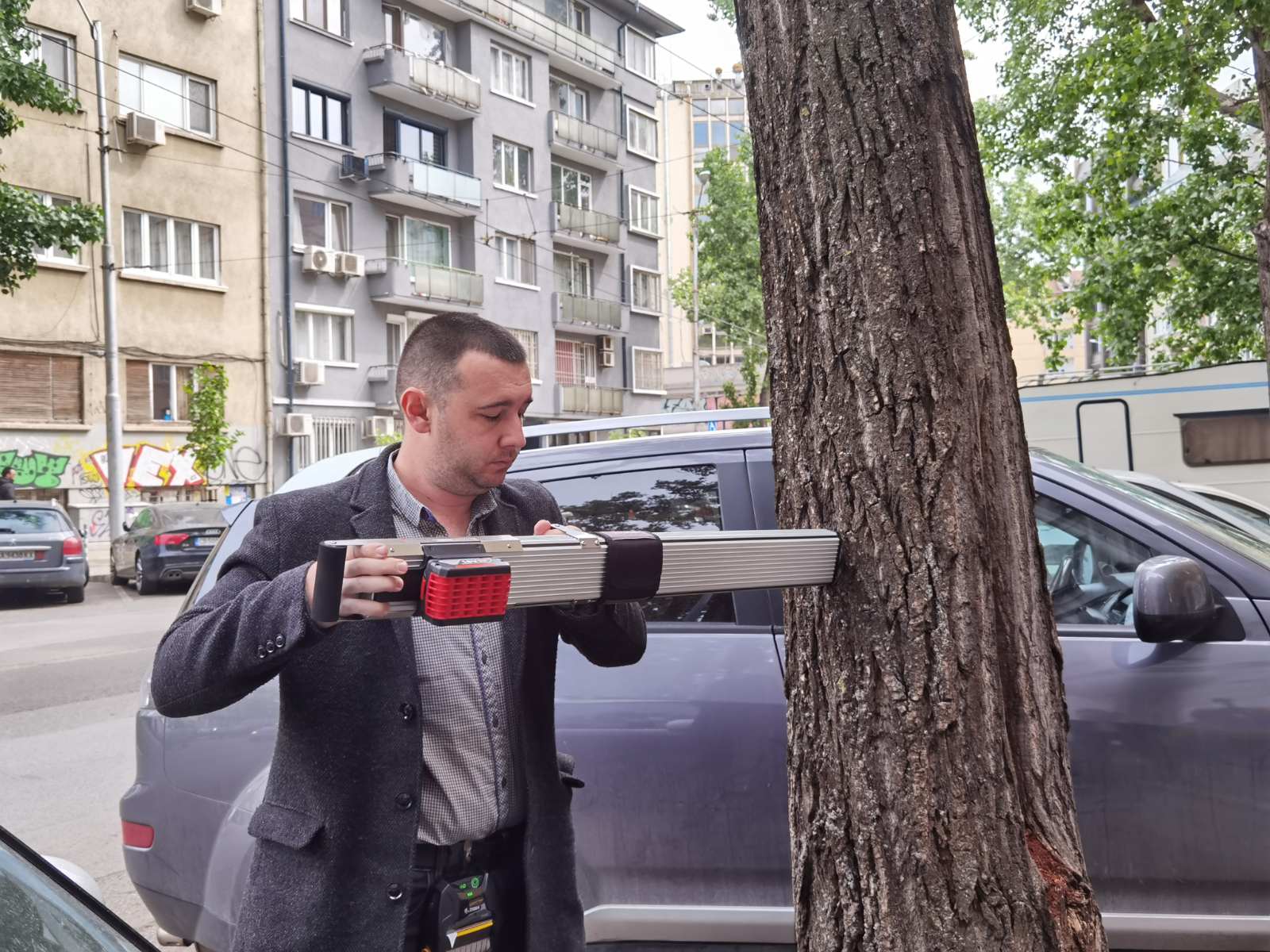 В София започва обследване на тополите по бул Васил Левски