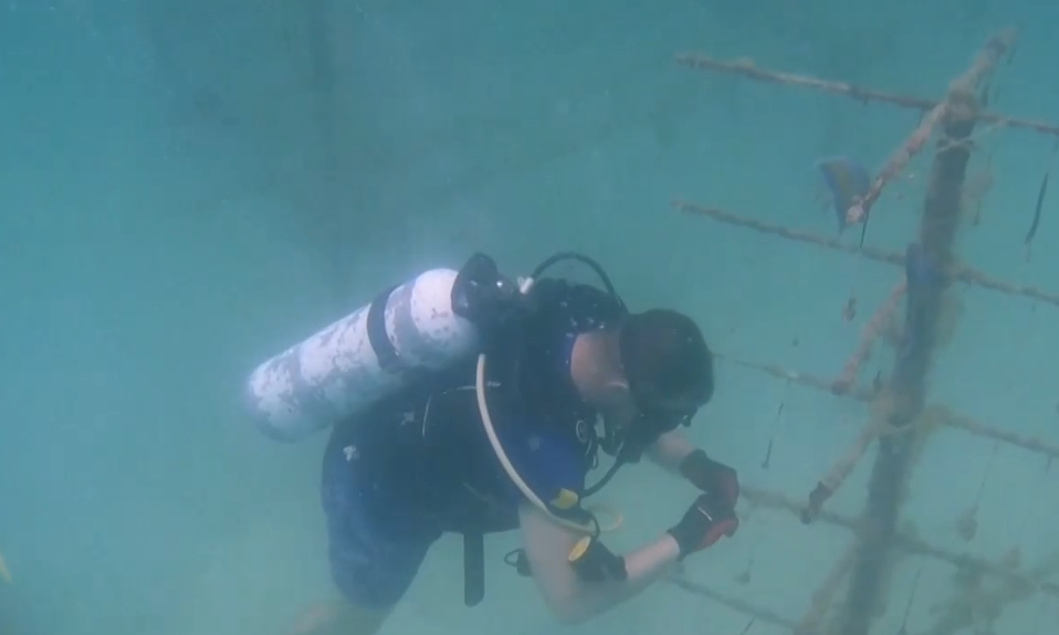 Продължава издирването на туристическата подводница която изчезна в Атлантическия океан