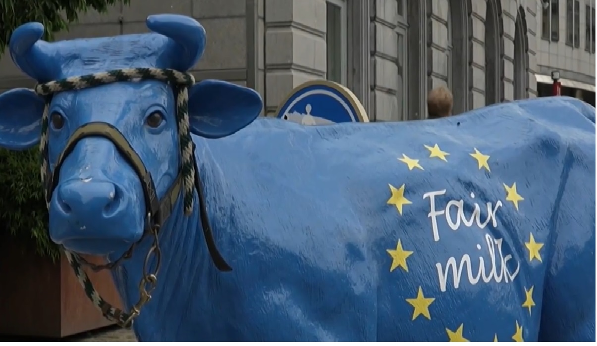 Млекопроизводители се събраха в Брюксел, за да поискат справедливи доходи“.