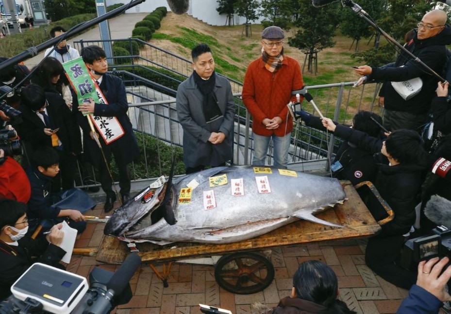 Гигантска риба тон с тегло над 230 кг беше продадена