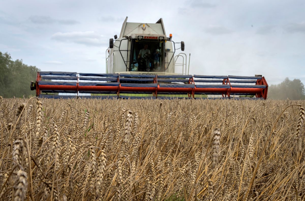 След оттеглянето на Русия от зърнената сделка миналия месец хиляди