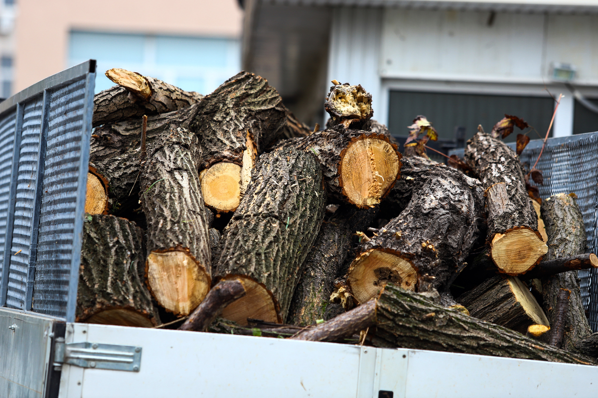 Истерията с дефицита на дървата за огрев приключва От понеделник