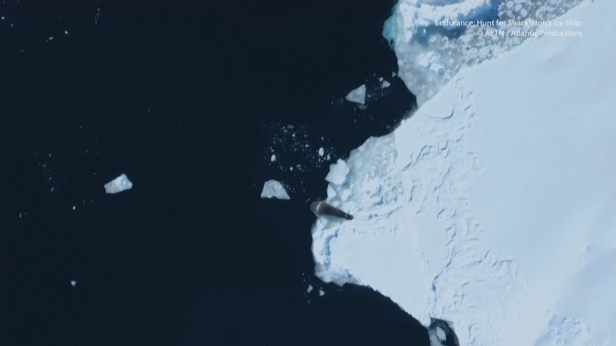 През 2019 г корабът Огюлас 2 отплава за Антарктида в