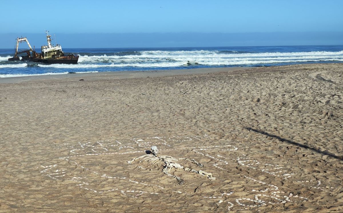 Skeleton Kost Skeleton Coast Namibia EB