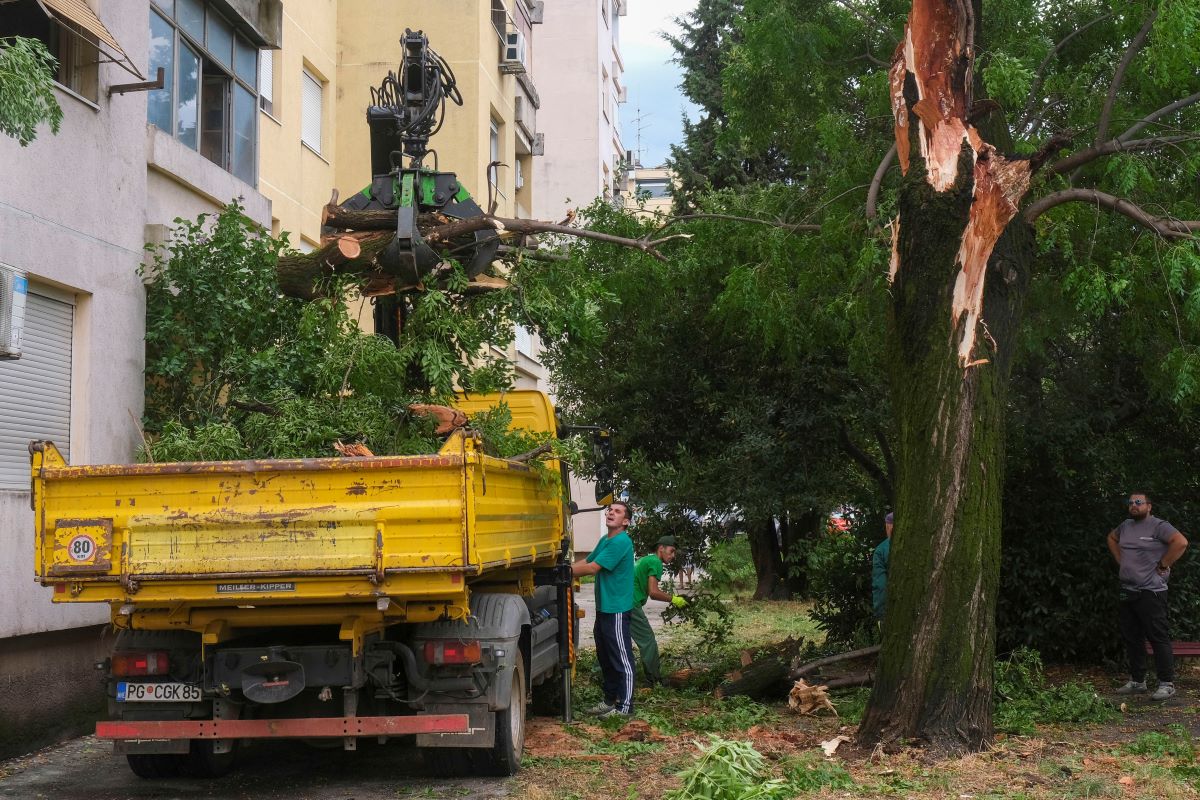 Cherna Gora Burya Padnalo Durvo AP