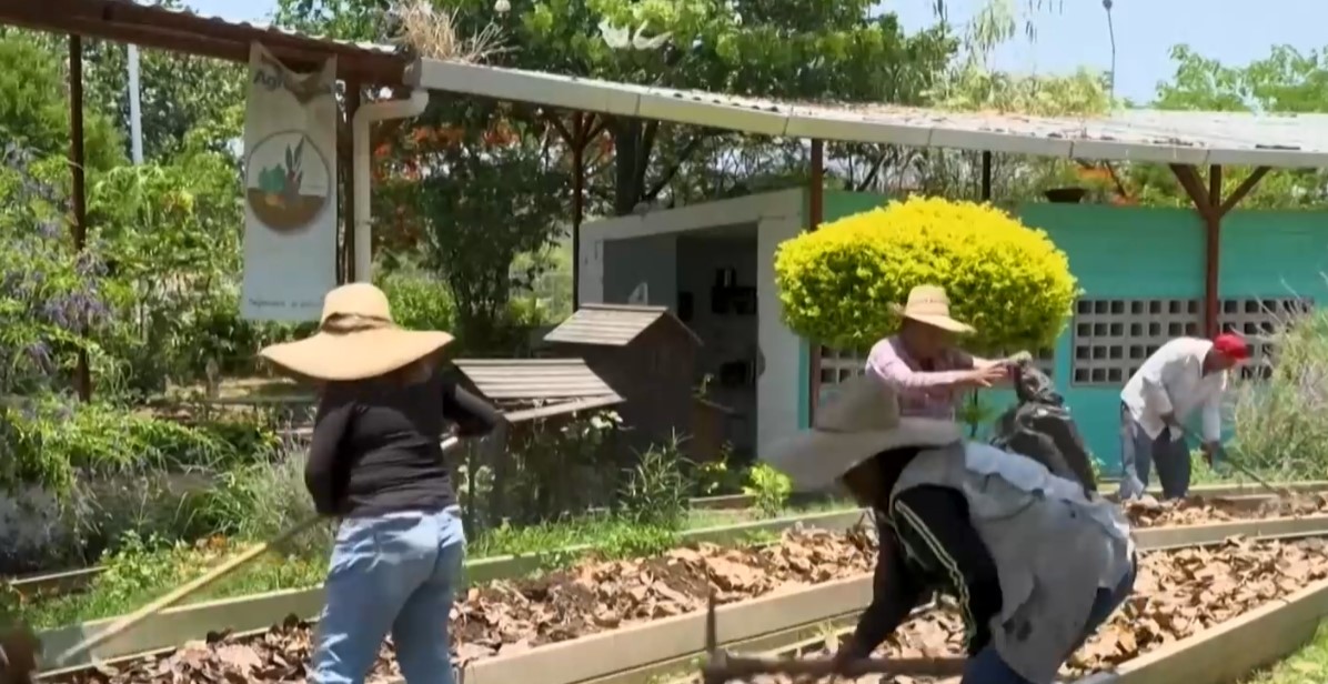 Група съседи работят усилено в общинска ферма в град Тлахомулко