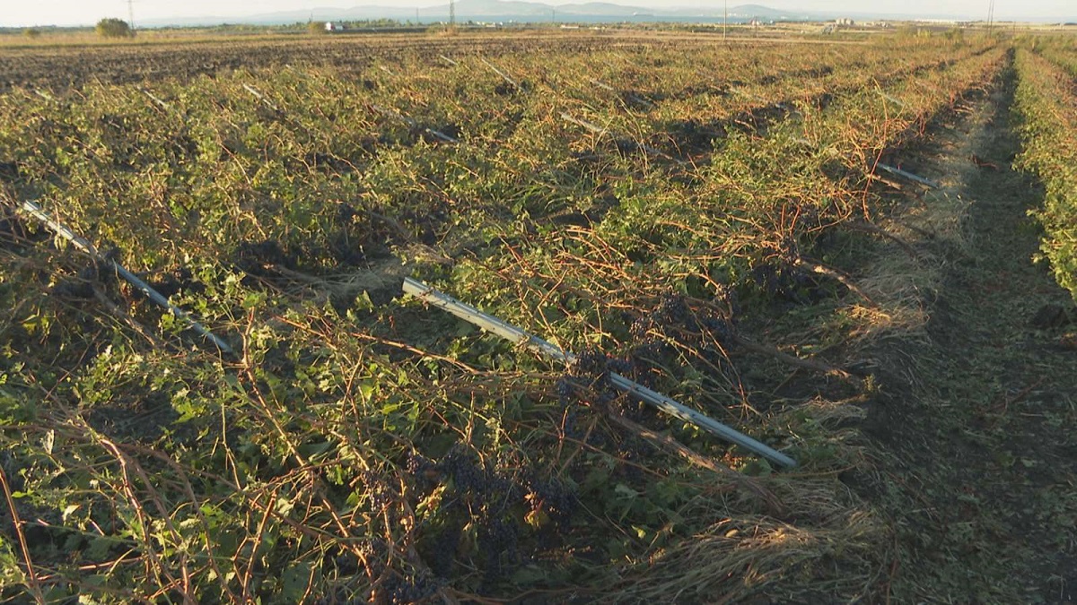 Земеделските стопани пострадали от тежката буря в Бургаско могат да