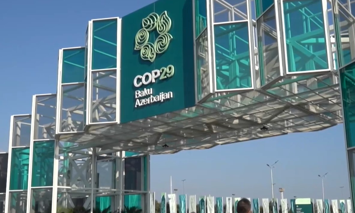 COP29