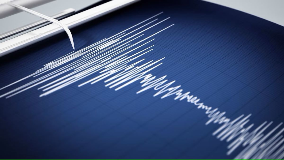 Земетресение с магнитуд 4 2 по Рихтер беше регистрирано в 8 26