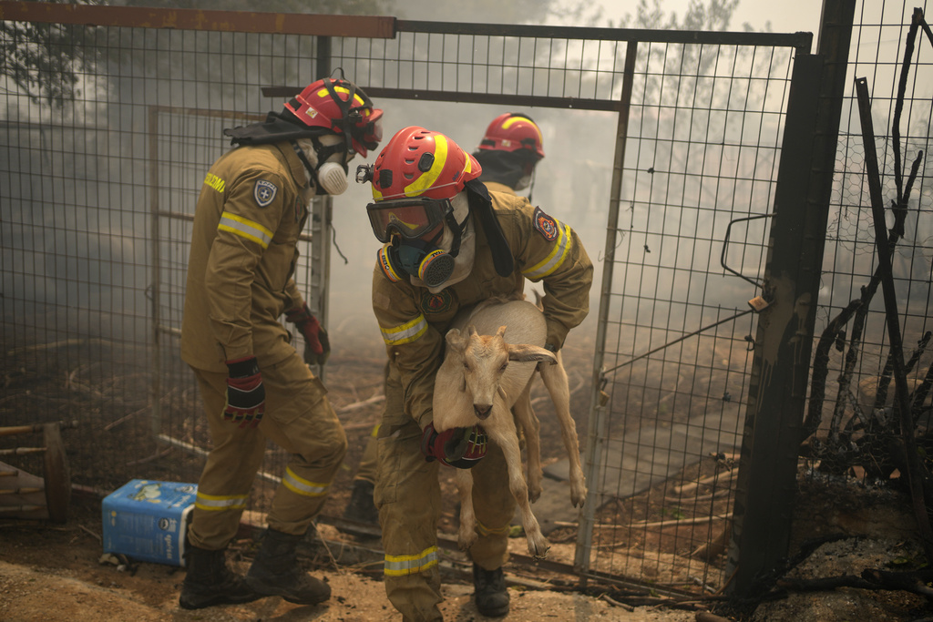 Български пожарникари заминават за Гърция за да помагат при гасенето