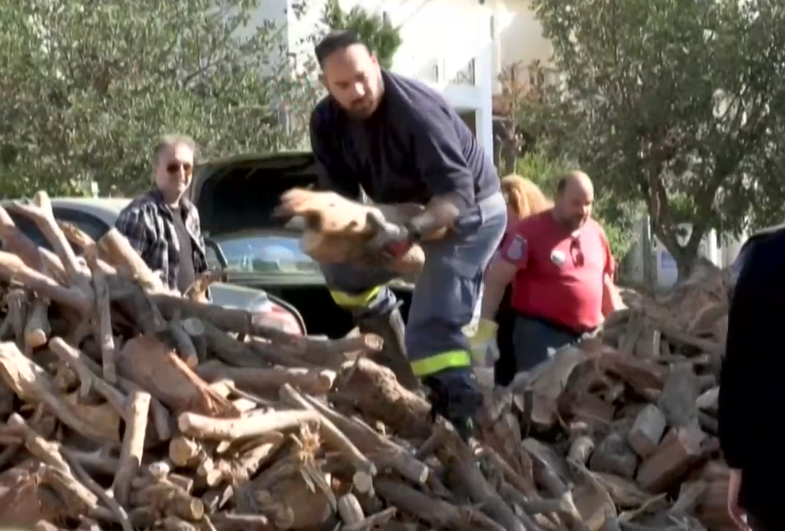 Хората в Европа купуват дърва за зимата като алтернатива на