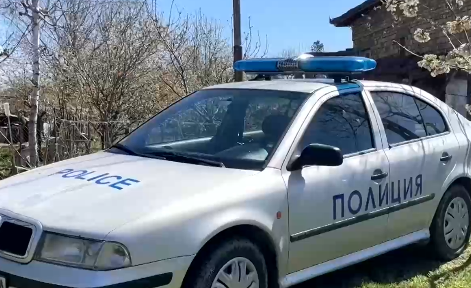Гледат мярката на гледача на кучета в Долна Оряховица, нахапали до смърт 40-годишна жена. Мирослава Стоянова издъхна след