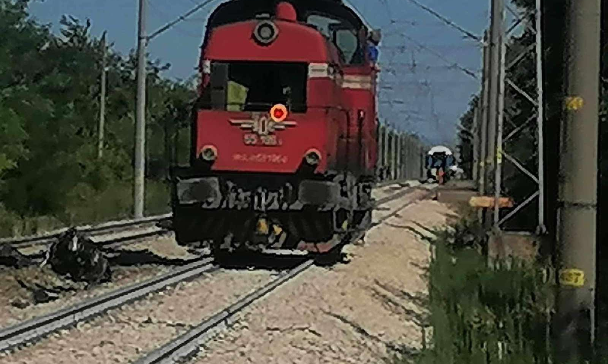 Бързият влак от София за Варна е ударил автомобил пресичал