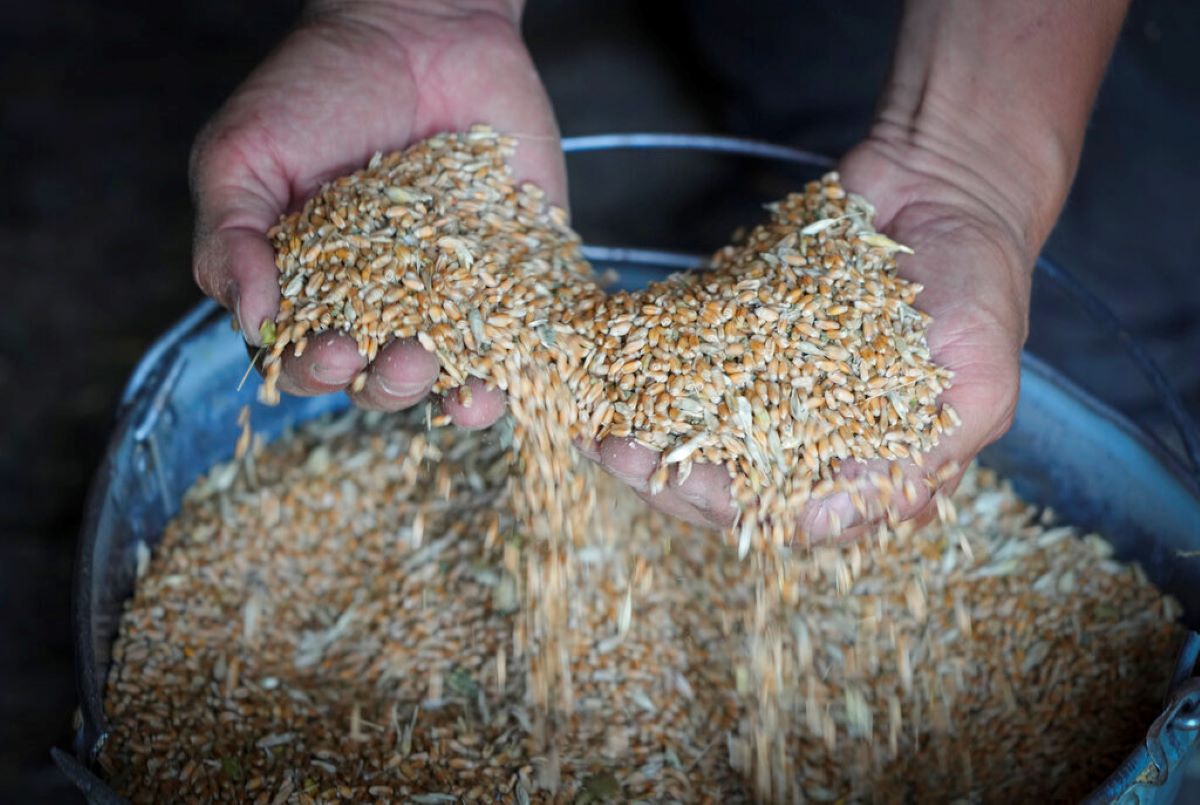Днес приключва действието на забраната за внос на украинско зърно