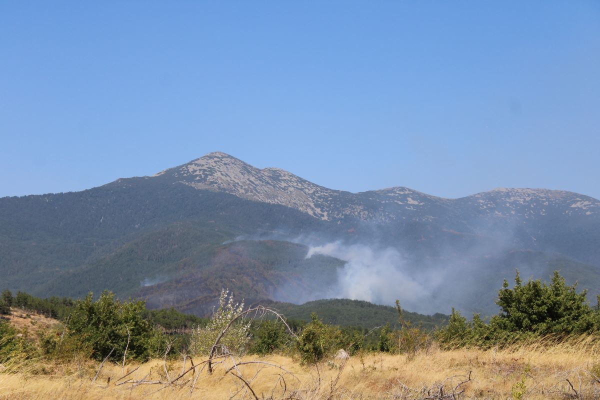 Pojar Pirin BGNES