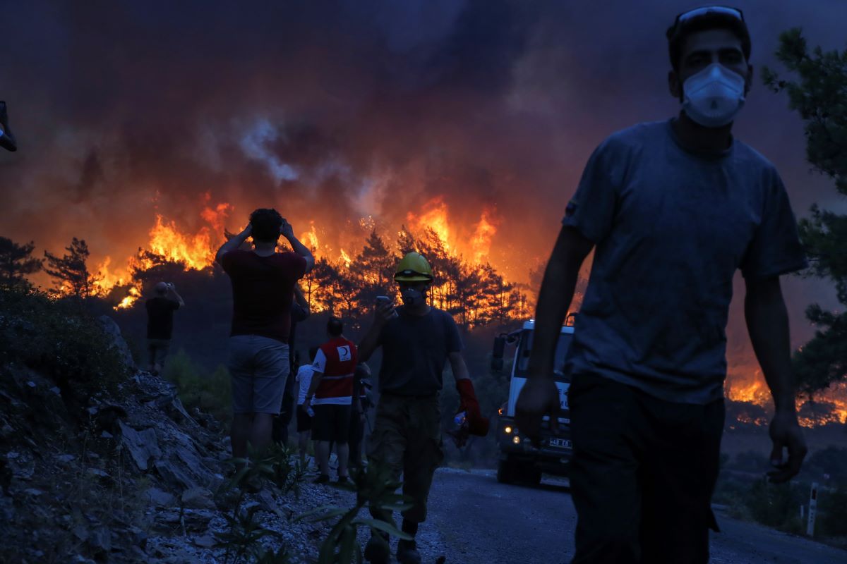 Pojar Wildfire AP