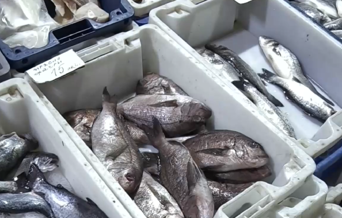 Качеството и безопасността на рибните продукти в България събират на