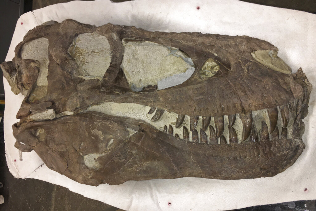 В Испания съобщиха за открити останки на динозавър Той е живял