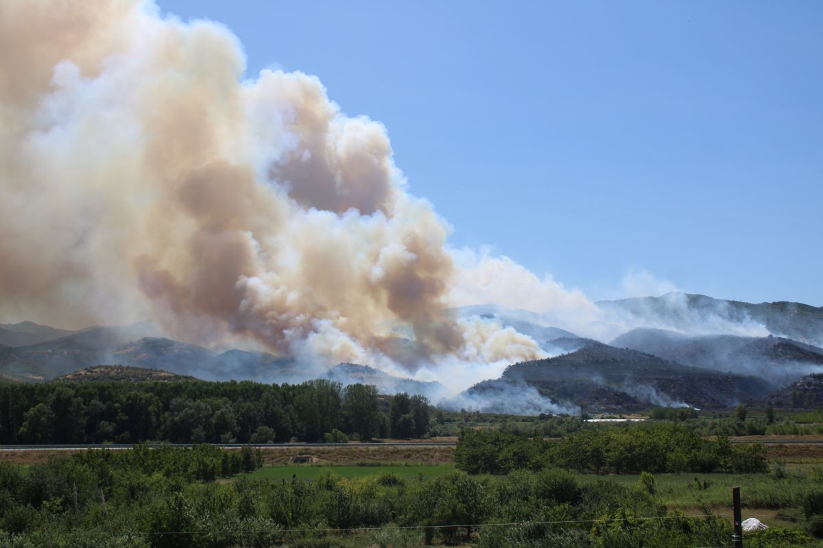 Pojar Strumiani BGNES