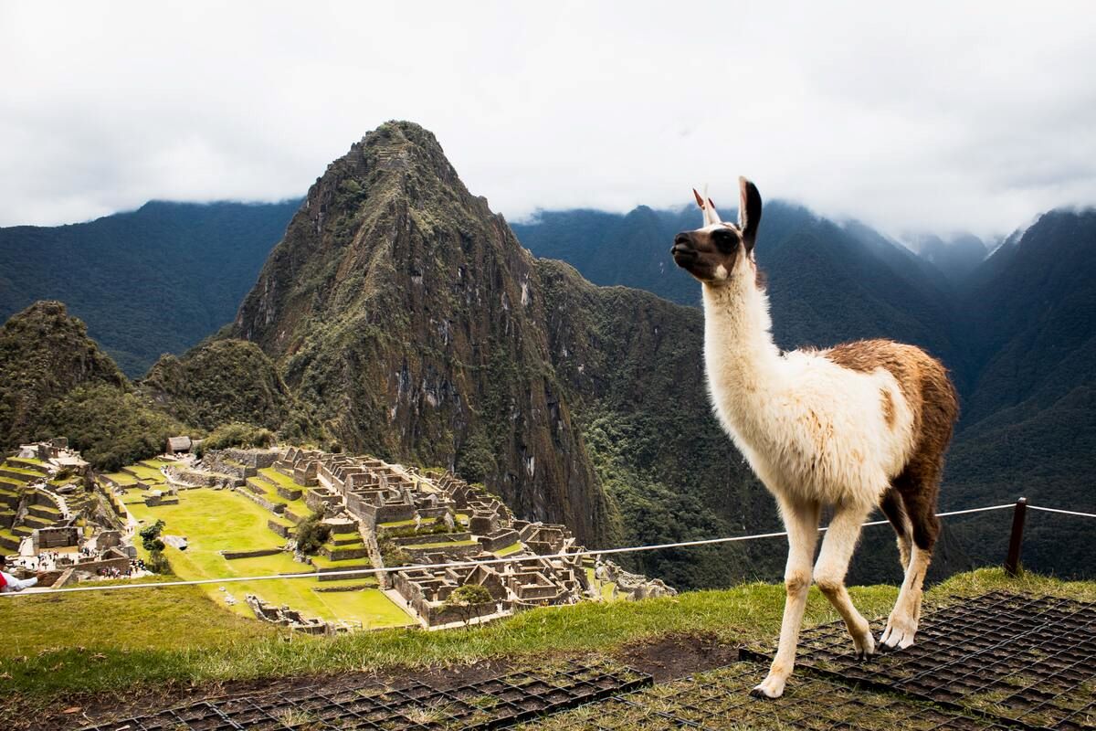 Перу затваря за неопределено време известния си туристически обект Мачу