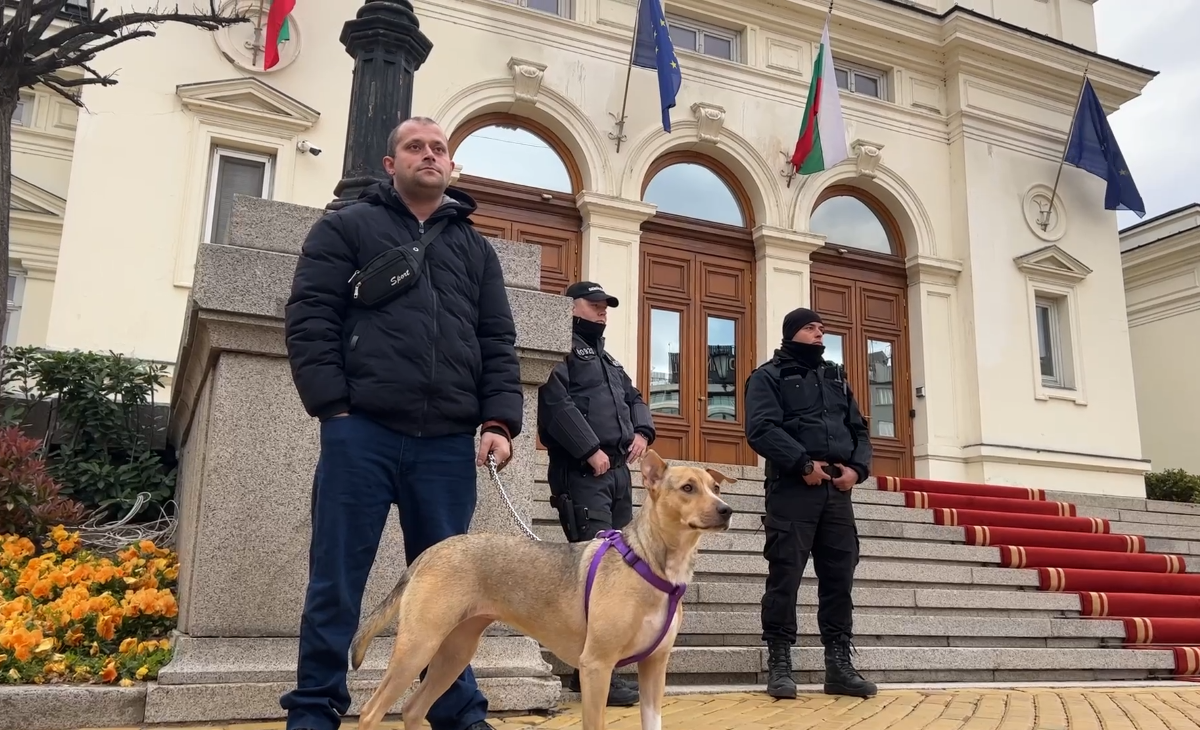 Кучето Фернанда отново застана пред сградата на парламента за да