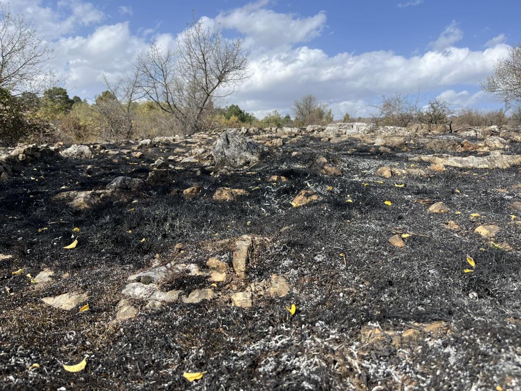 Ликвидирани са пожарите край три костинбродски села и до Нови