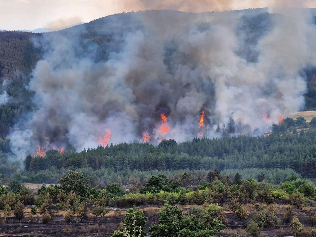 Голям пожар край Русе Огънят бушува на 50 метра от