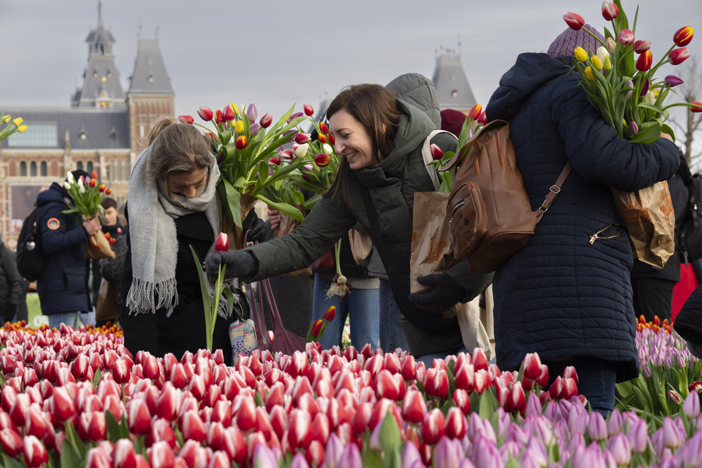 Цветя в различни нюанси украсиха Амстердам, който отбеляза националния ден