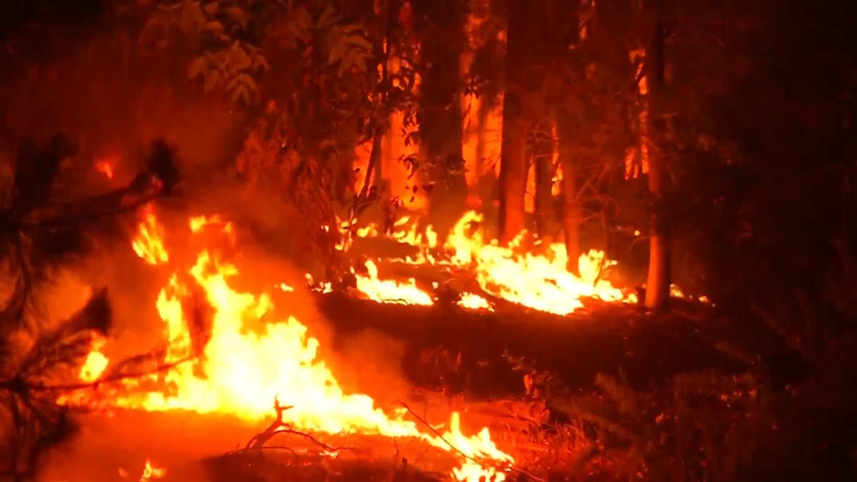 Най-малко 22 са жертвите на горските пожари в Чили, предизвикани