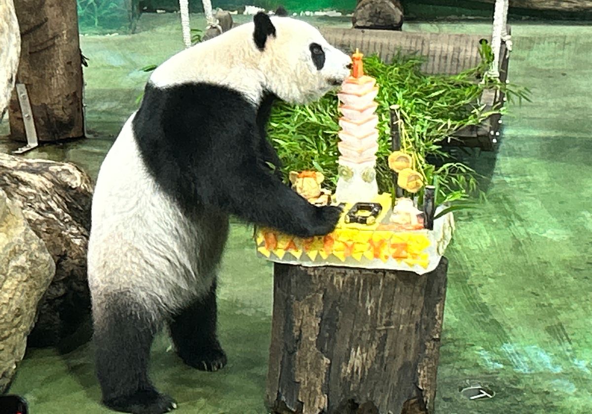Пандата, кръстена Юан Зай, беше посрещната от десетки фенове. Юан